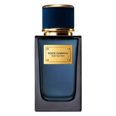 dolce gabbana blue musk